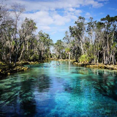 Crystal river national wildlife refuge - Crystal River National Wildlife Refuge Complex. 37,796 likes · 407 talking about this. Welcome to the Crystal River National Wildlife Refuge page! 